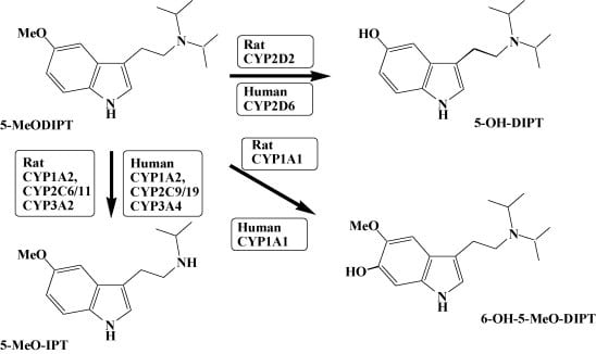 1 s2.0 s0006295207006600 gr7